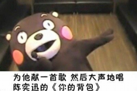 日喀则企业清欠服务